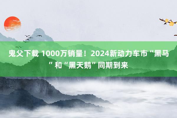 鬼父下载 1000万销量！2024新动力车市“黑马”和“黑天鹅”同期到来