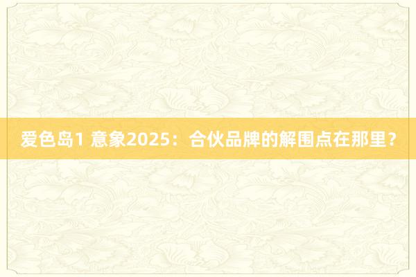 爱色岛1 意象2025：合伙品牌的解围点在那里？