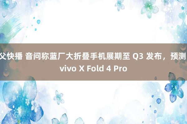 鬼父快播 音问称蓝厂大折叠手机展期至 Q3 发布，预测为 vivo X Fold 4 Pro