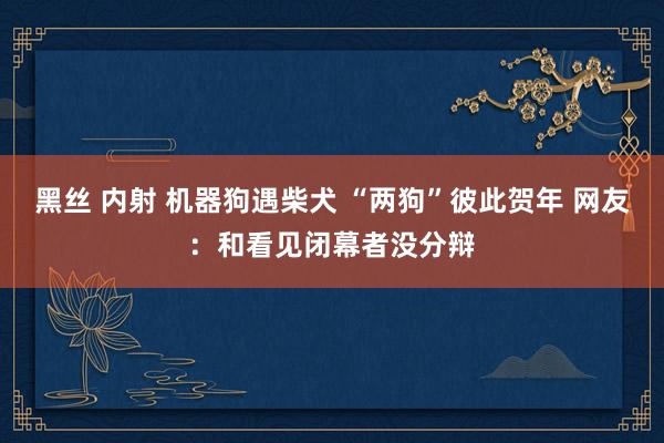 黑丝 内射 机器狗遇柴犬 “两狗”彼此贺年 网友：和看见闭幕者没分辩