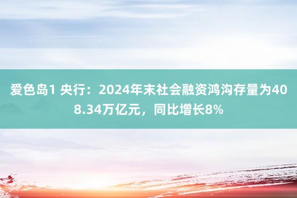 爱色岛1 央行：2024年末社会融资鸿沟存量为408.34万亿元，同比增长8%