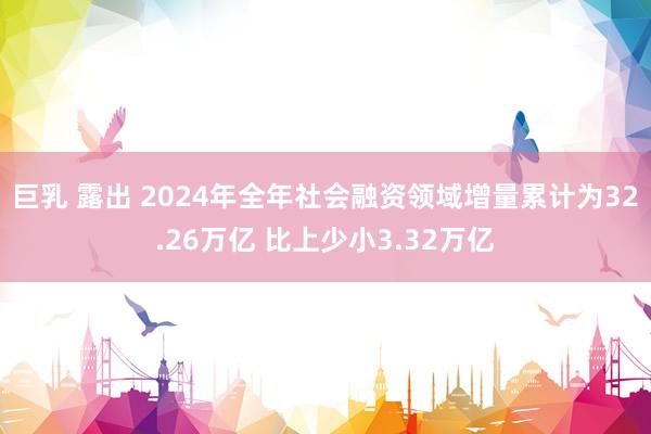 巨乳 露出 2024年全年社会融资领域增量累计为32.26万亿 比上少小3.32万亿