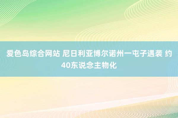 爱色岛综合网站 尼日利亚博尔诺州一屯子遇袭 约40东说念主物化